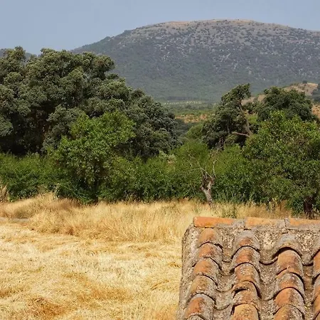 Cortijo Calma - Countryside Peace & Tranquility Apartment *