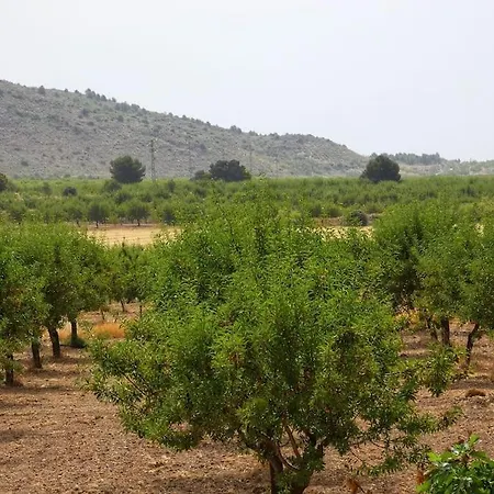 Apartment Cortijo Calma - Countryside Peace & Tranquility