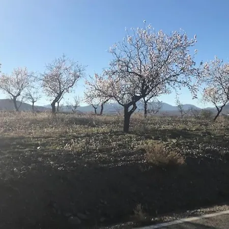 Apartment Cortijo Calma - Countryside Peace & Tranquility Oria