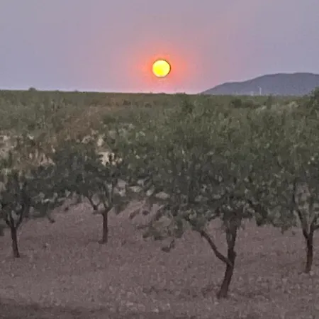 Cortijo Calma - Countryside Peace & Tranquility Apartment *